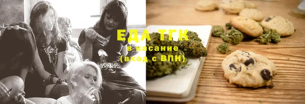 индика Абаза