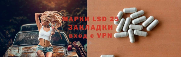 индика Абаза
