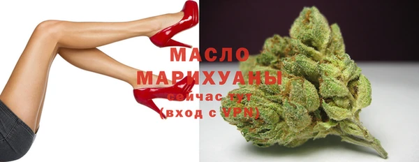 дмт Новозыбков