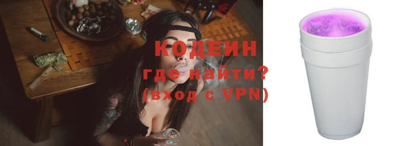 индика Абаза