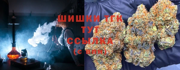 тгк Абинск