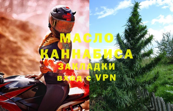 индика Абаза