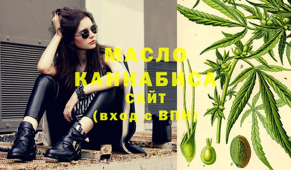 индика Абаза