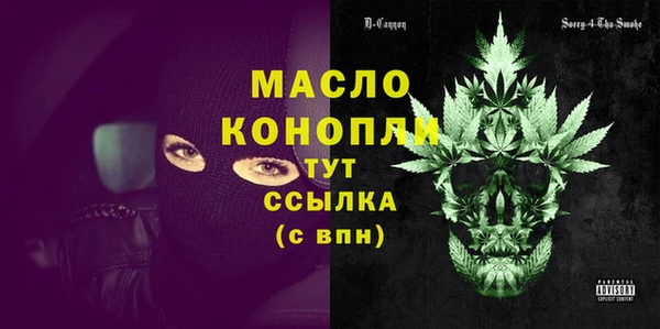 дмт Новозыбков