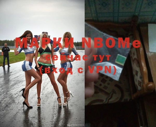 индика Абаза
