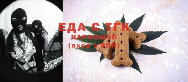 индика Абаза