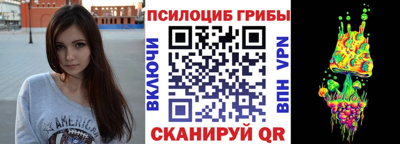 Псилоцибиновые грибы Psilocybe где можно купить наркотик Псков