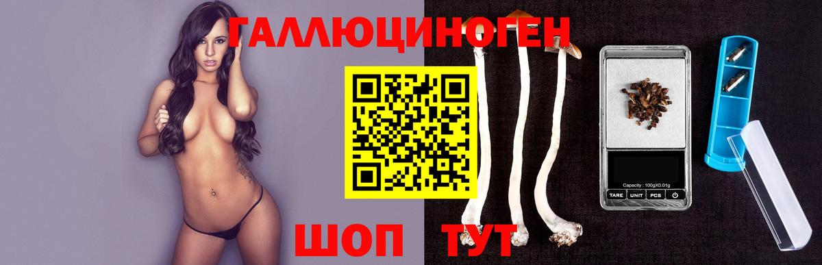 Псилоцибиновые грибы Psilocybine cubensis Псков
